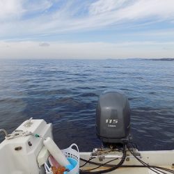 フィッシングボート空風(そらかぜ) 釣果