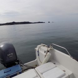 フィッシングボート空風(そらかぜ) 釣果
