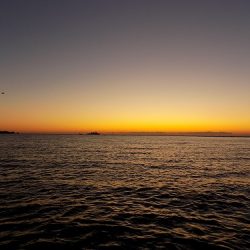 フィッシングボート空風(そらかぜ) 釣果