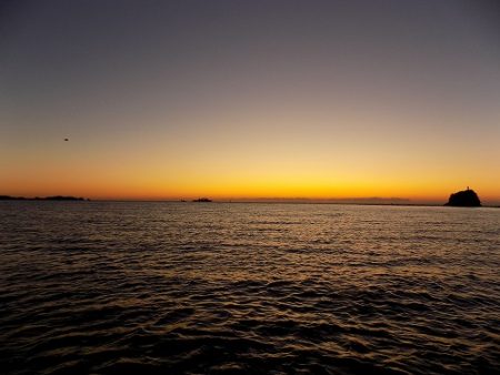 フィッシングボート空風(そらかぜ) 釣果