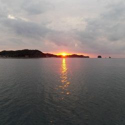 フィッシングボート空風(そらかぜ) 釣果