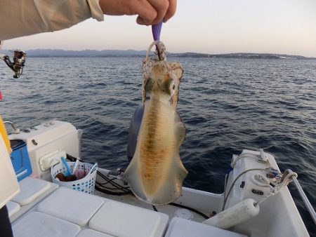 フィッシングボート空風(そらかぜ) 釣果