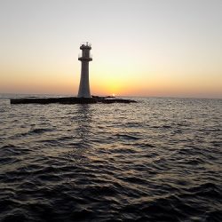 フィッシングボート空風(そらかぜ) 釣果