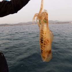 フィッシングボート空風(そらかぜ) 釣果