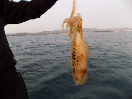 フィッシングボート空風(そらかぜ) 釣果