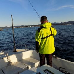 フィッシングボート空風(そらかぜ) 釣果