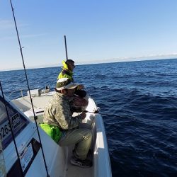 フィッシングボート空風(そらかぜ) 釣果