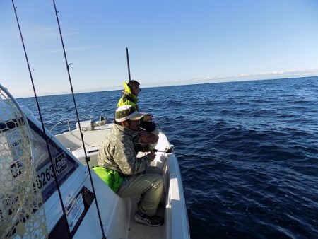 フィッシングボート空風(そらかぜ) 釣果