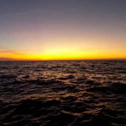 フィッシングボート空風(そらかぜ) 釣果