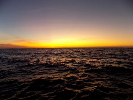 フィッシングボート空風(そらかぜ) 釣果