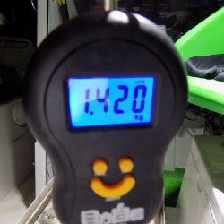 フィッシングボート空風(そらかぜ) 釣果