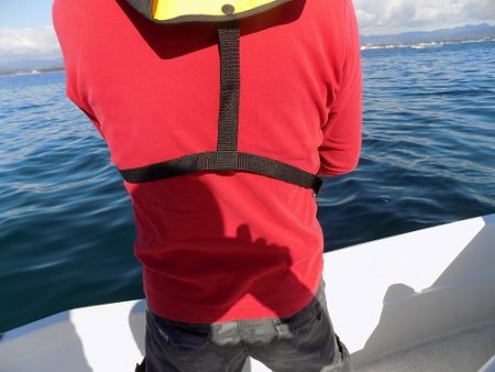 フィッシングボート空風(そらかぜ) 釣果