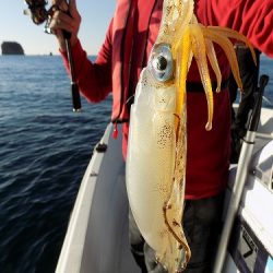フィッシングボート空風(そらかぜ) 釣果