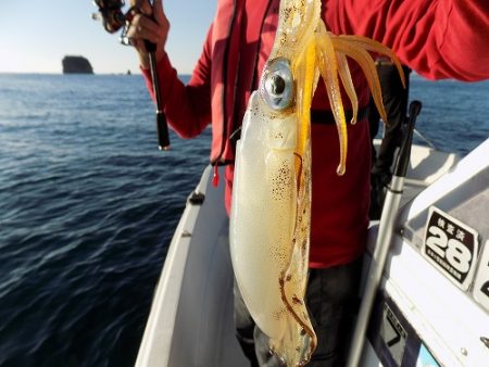 フィッシングボート空風(そらかぜ) 釣果