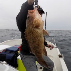 フィッシングボート空風(そらかぜ) 釣果