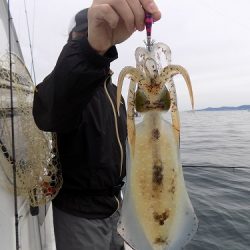フィッシングボート空風(そらかぜ) 釣果