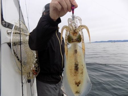 フィッシングボート空風(そらかぜ) 釣果