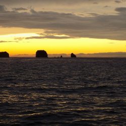 フィッシングボート空風(そらかぜ) 釣果