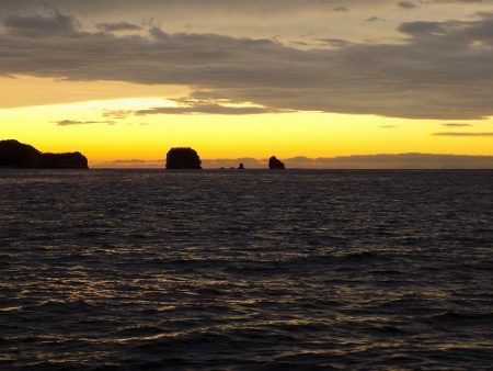 フィッシングボート空風(そらかぜ) 釣果