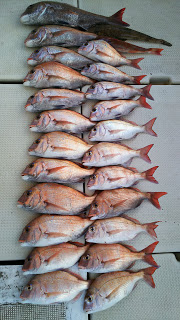 釣り舟　海竜 釣果