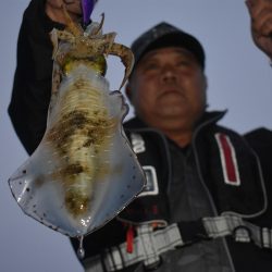 Fisherman Dreams DI 釣果