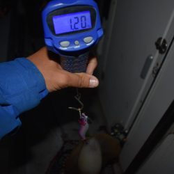 Fisherman Dreams DI 釣果