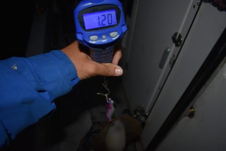 Fisherman Dreams DI 釣果