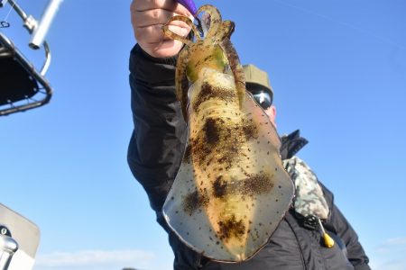 Fisherman Dreams DI 釣…