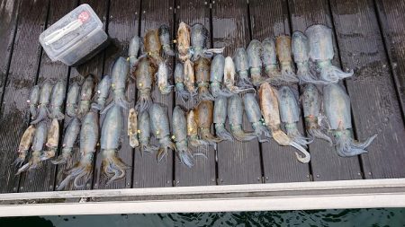 フィッシングボートACE(エース) 釣果