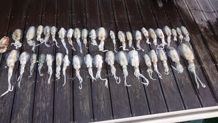 フィッシングボートACE(エース) 釣果