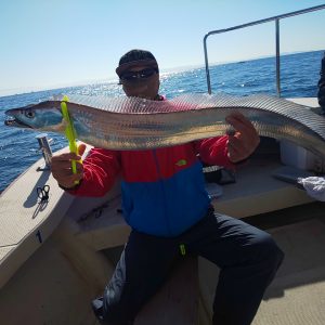 恵比寿丸（兵庫） 釣果