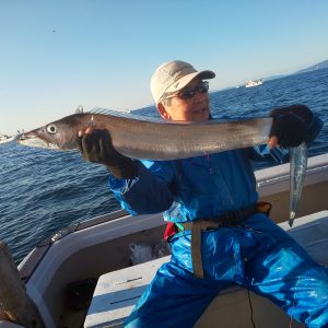 恵比寿丸（兵庫） 釣果