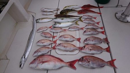 フィッシングボートACE(エース) 釣果