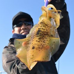 Fisherman Dreams DI 釣果