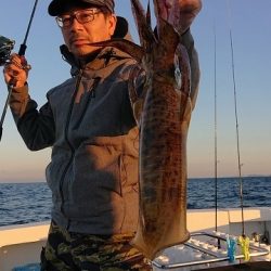 フィッシングボートACE(エース) 釣果