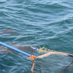 Fisherman Dreams DI 釣果