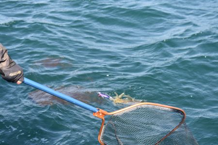 Fisherman Dreams DI 釣果