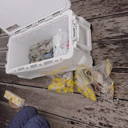 フィッシングボートACE(エース) 釣果