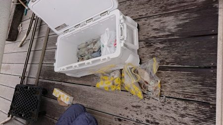 フィッシングボートACE（エース） 釣果