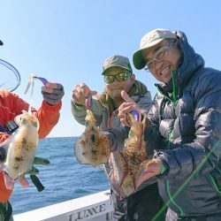 フィッシングボートACE(エース) 釣果