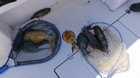 フィッシングボートACE(エース) 釣果