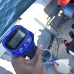 Fisherman Dreams DI 釣果