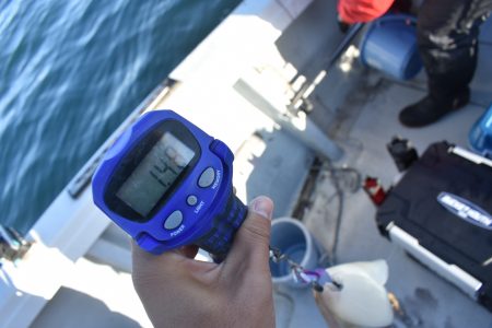 Fisherman Dreams DI 釣果