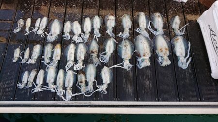 フィッシングボートACE(エース) 釣果