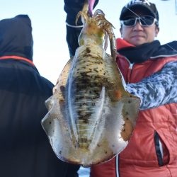 Fisherman Dreams DI 釣果