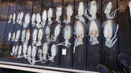 フィッシングボートACE（エース） 釣果