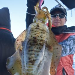 Fisherman Dreams DI 釣果