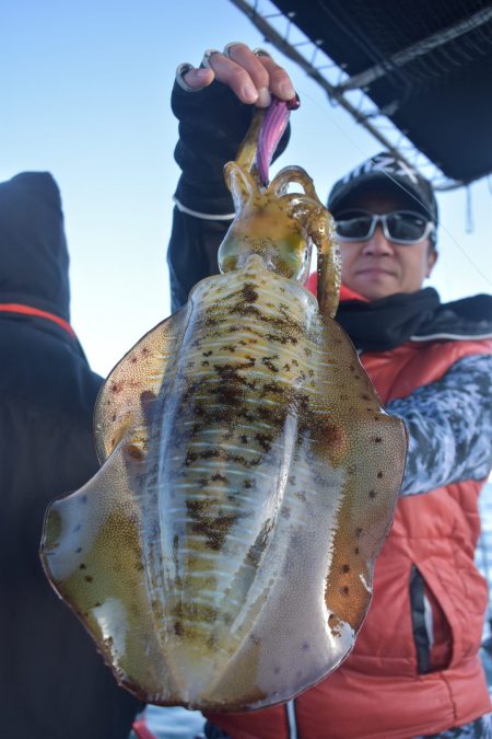 Fisherman Dreams DI 釣果