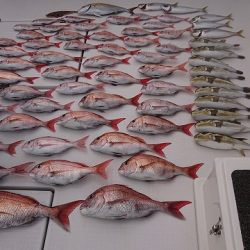 フィッシングボートACE(エース) 釣果