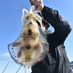 Fisherman Dreams DI 釣果